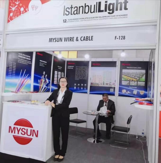 2019 Istanbul Lighting exhibition-Home